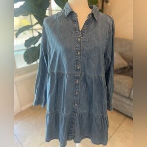GAP chambray dress